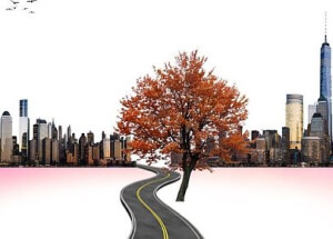 Regional Development Around the Globe