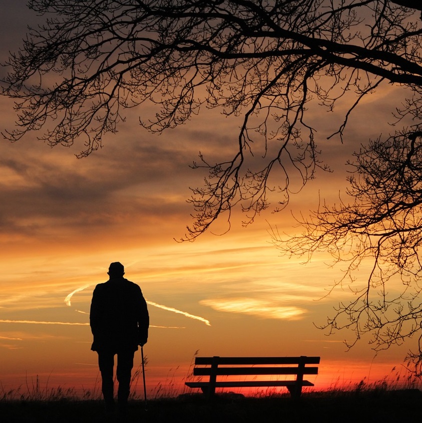 sunset-g8a0a9ef68_1280 We were all profoundly affected by the dysfunction