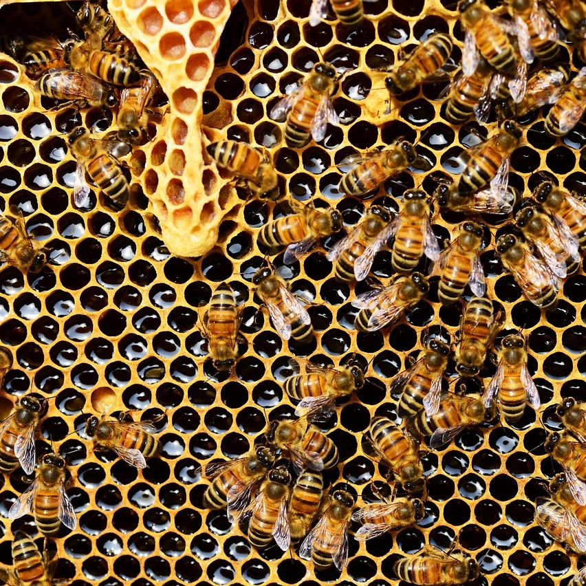 We were all profoundly affected by the dysfunction