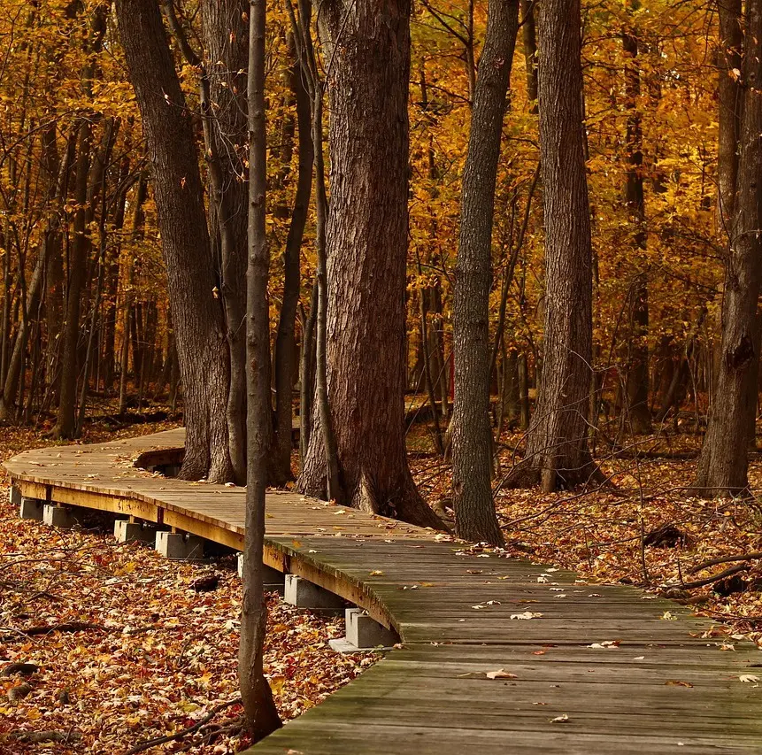 pathway We were all profoundly affected by the dysfunction