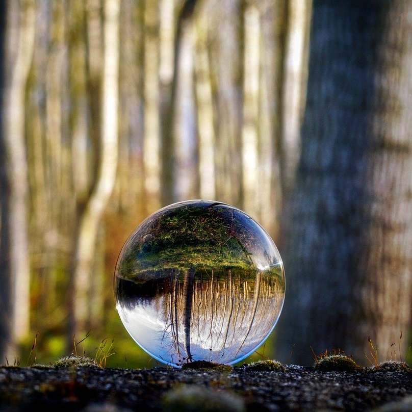 spiritual inclusion can be found in nature We were all profoundly affected by the dysfunction