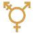 lgbtq