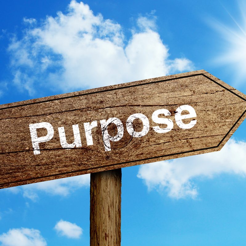 We were all profoundly affected by the dysfunction